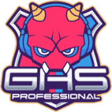 GHS Professional